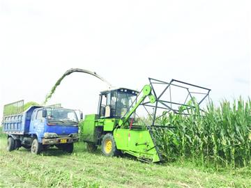 青島加速建設(shè)全國(guó)主要農(nóng)作物生產(chǎn)全程機(jī)械化示范市 農(nóng)業(yè)機(jī)械制造迎來新機(jī)遇
